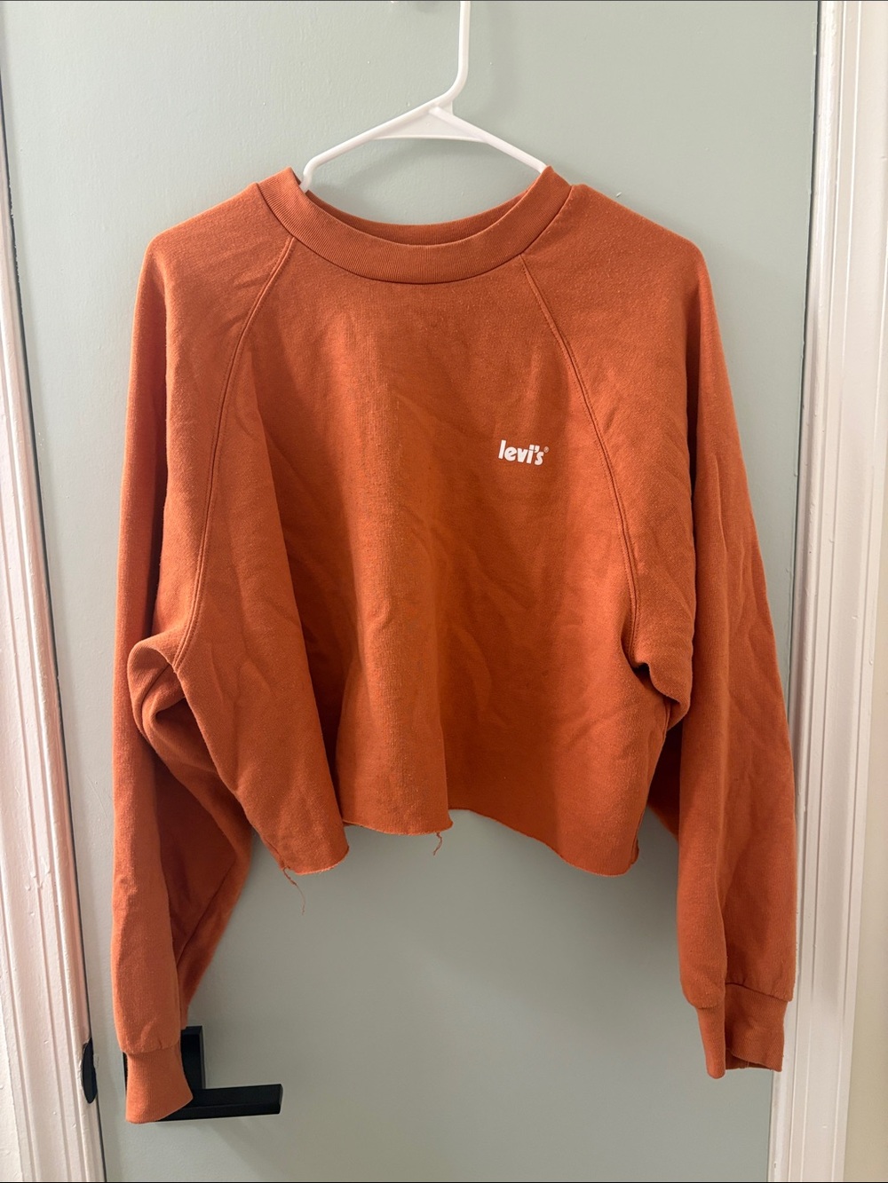 Levi's Burnt Orange Cropped Crewneck Sweatshirt